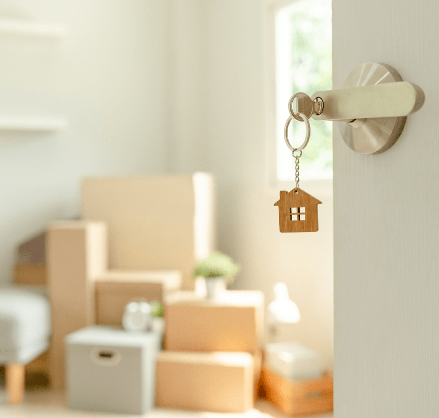 Login / Register background